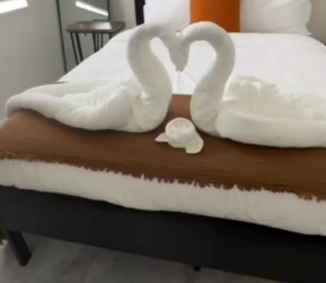 Airbnb bed made with towel swans