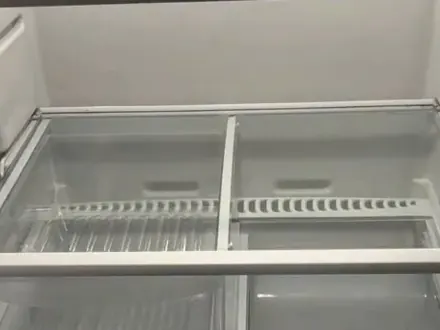 Empty refrigerator shelves cleaned and dried
