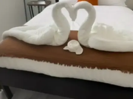Made bed with towels folded into swans
